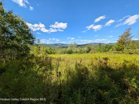 0 Panarama Ln, Windham, NY 12496 photo 12