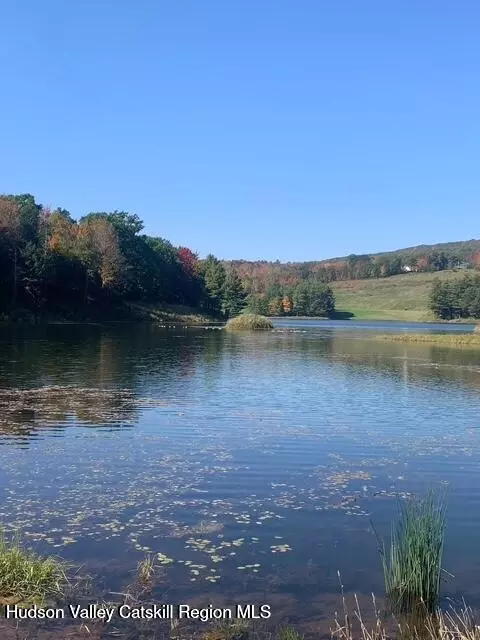 View/Area - 96 County Road 56, Windham, NY 12496 photo 4 of 4