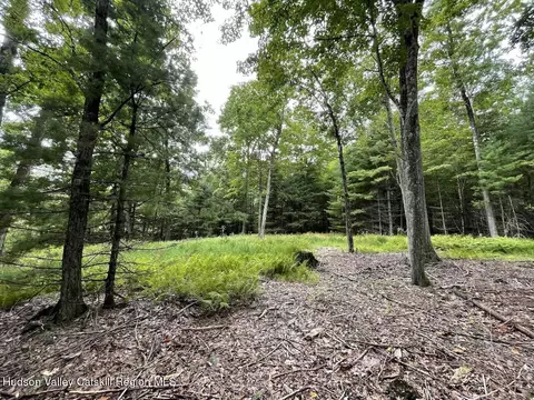 00 Oak Ridge Rd, Ellenville, NY 12428
