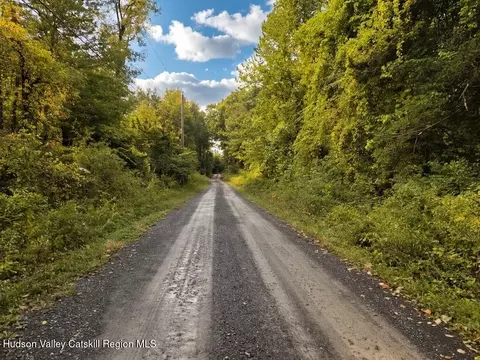 0 Spring Rd, Livingston, NY 12534 photo 6
