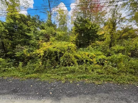 0 Spring Rd, Livingston, NY 12534 photo 5
