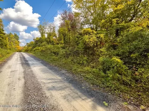 0 Spring Rd, Livingston, NY 12534 photo 3