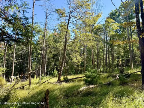 lot8 Brandy Brook Rd, Napanoch, NY 12458