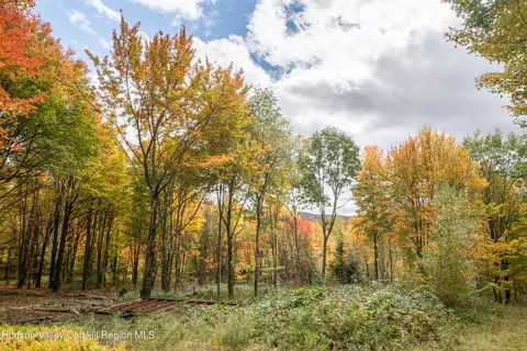 0 Turkey Ln, Stamford, NY 12167