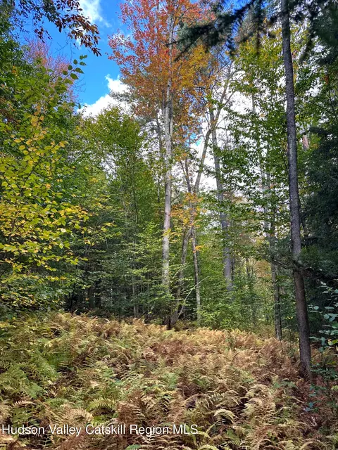 0 Moore Hill Lot 1 Rd, Stephentown, NY 12169