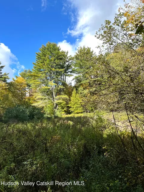 0 Moore Hill Lot 3 Rd, Stephentown, NY 12169
