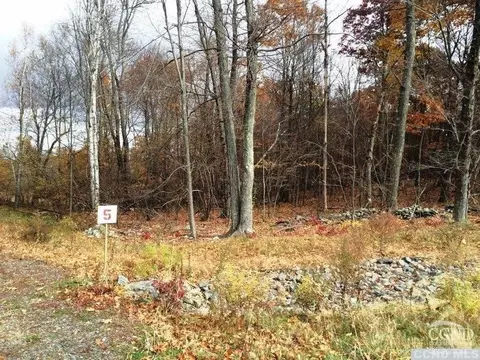 5 Birch Hill Rd, Copake Lake, NY 12521 photo 2