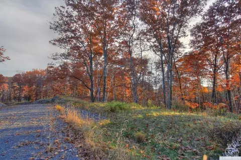 6 Birch Hill Rd, Copake Lake, NY 12521 photo 5