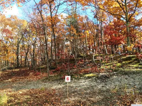 6 Birch Hill Rd, Copake Lake, NY 12521 photo 3