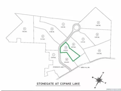 9 Birch Hill Rd, Copake Lake, NY 12521 photo 4