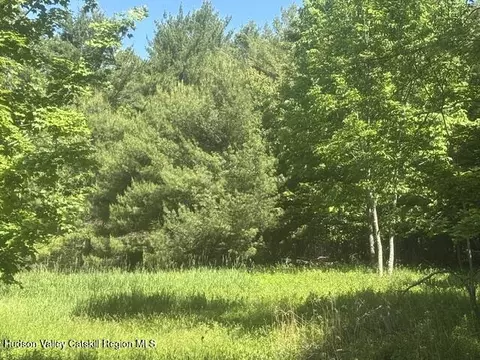 0 Peck Rd, Windham, NY 12496 photo 4