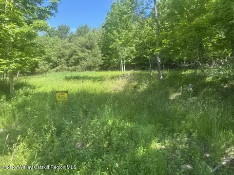 0 Peck Rd, Windham, NY 12496 photo 3