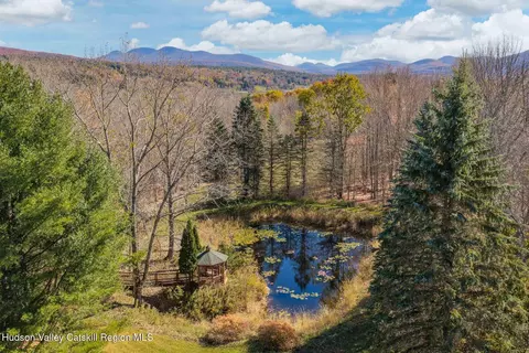 View/Area - 730 Mill St, Windham, NY 12496 photo 2 of 5