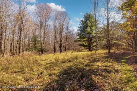 Other - 730 Mill St, Windham, NY 12496 photo 25 of 27