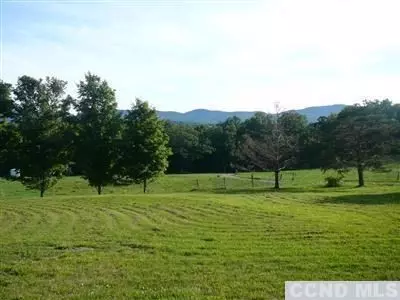 7923 Route 81, Oak Hill, NY 12460 photo 10