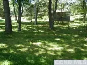 166 W Shore Dr, Valatie, NY 12184 photo 4