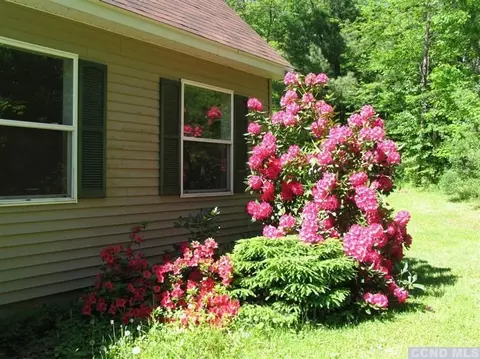 240 Middle Rd, Austerlitz, NY 12017 photo 10