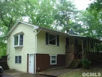 91 M Simons Rd, Cairo, NY 12413 photo 1