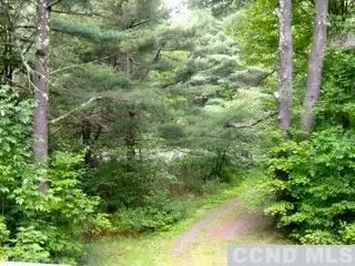31 Pinekill Ln, Windham, NY 12496 photo 8