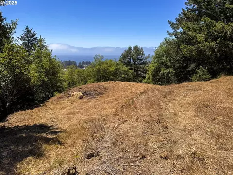 Upper Benham, Brookings, OR 97415 photo 9