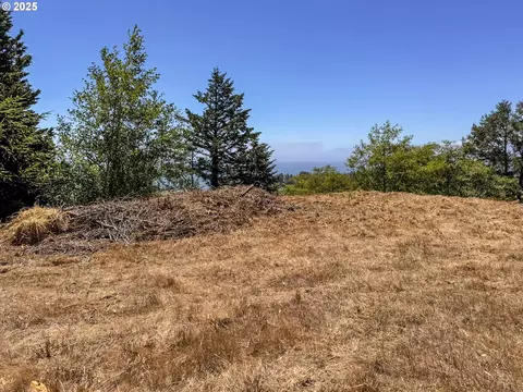 Upper Benham, Brookings, OR 97415 photo 28