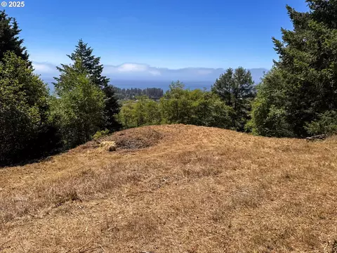 Upper Benham, Brookings, OR 97415 photo 8