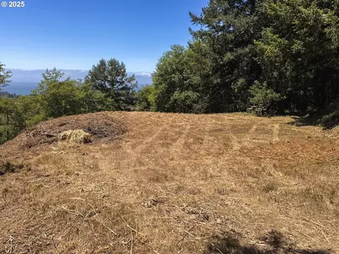 Upper Benham, Brookings, OR 97415 photo 12