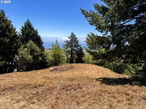 Upper Benham, Brookings, OR 97415 photo 7