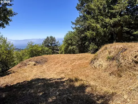 Upper Benham, Brookings, OR 97415 photo 11