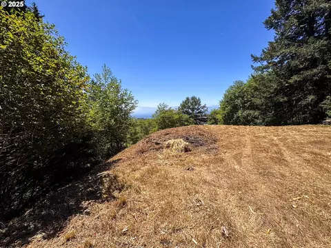 Upper Benham, Brookings, OR 97415 photo 14