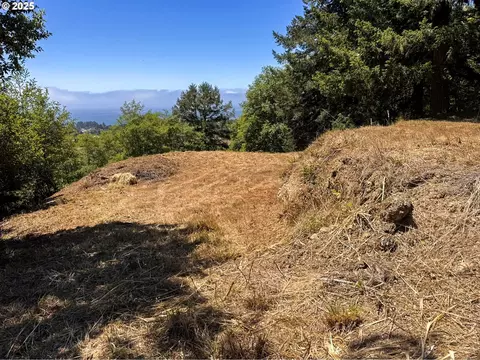 Upper Benham, Brookings, OR 97415 photo 10