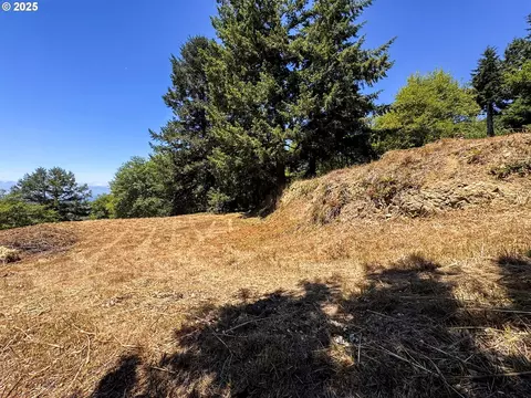 Upper Benham, Brookings, OR 97415 photo 13