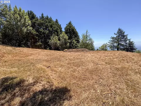 Upper Benham, Brookings, OR 97415 photo 26