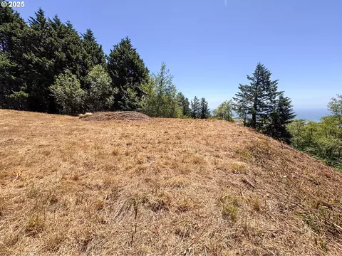 Upper Benham, Brookings, OR 97415 photo 19