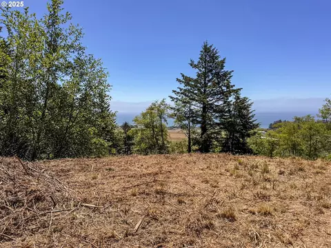 Upper Benham, Brookings, OR 97415 photo 24