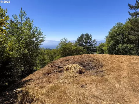 Upper Benham, Brookings, OR 97415 photo 15