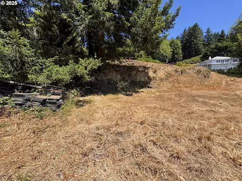 Upper Benham, Brookings, OR 97415 photo 18