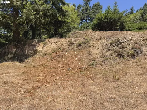 Upper Benham, Brookings, OR 97415 photo 16