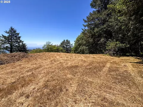 Upper Benham, Brookings, OR 97415 photo 27