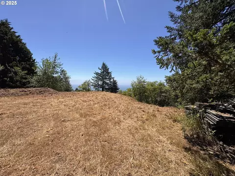 Upper Benham, Brookings, OR 97415 photo 22