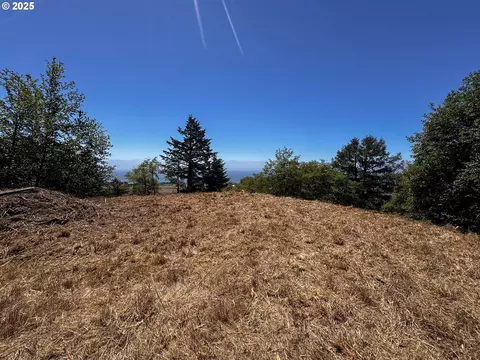 Upper Benham, Brookings, OR 97415 photo 17