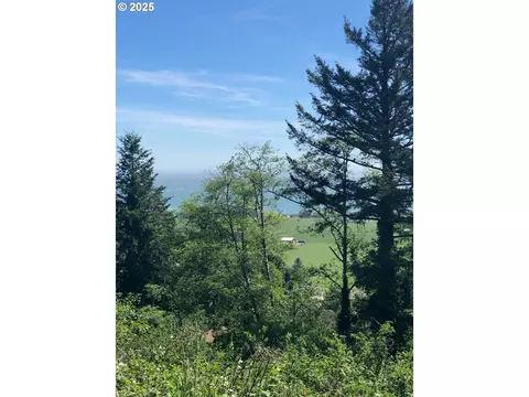 Upper Benham, Brookings, OR 97415 photo 3