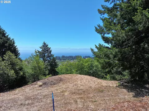 Upper Benham, Brookings, OR 97415 photo 5