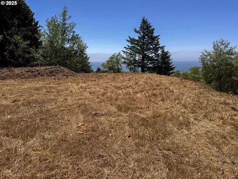 Upper Benham, Brookings, OR 97415 photo 23