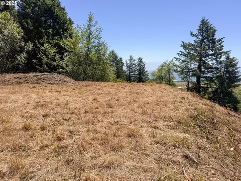 Upper Benham, Brookings, OR 97415 photo 20