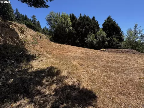 Upper Benham, Brookings, OR 97415 photo 25