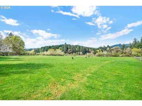 Exterior - 24022 Alpine Rd, Monroe, OR 97456 photo 7 of 8
