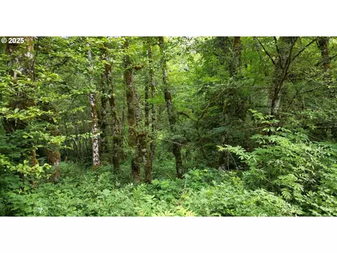 0 Blackcap Rd, Jewell, OR 97138