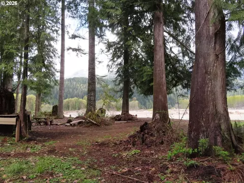 Cedar Grove Rd, Randle, WA 98377