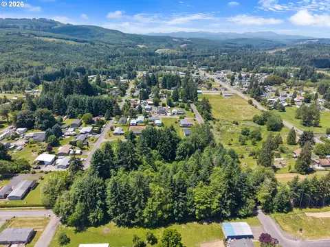 0 8th St, Vader, WA 98593 photo 3